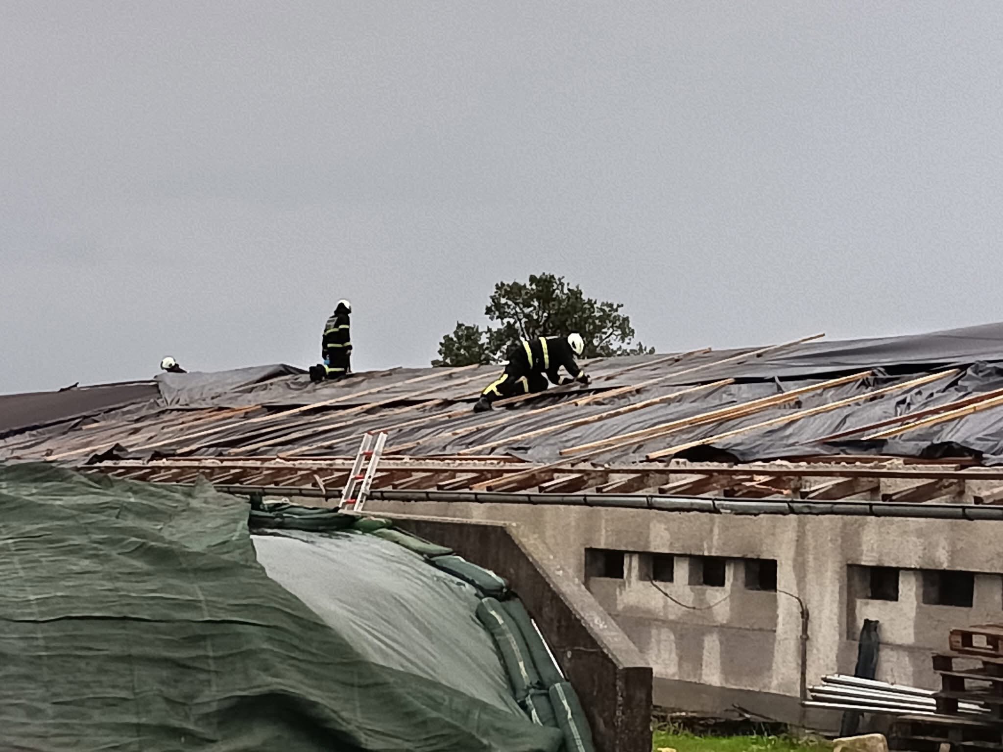 Intervencije 17