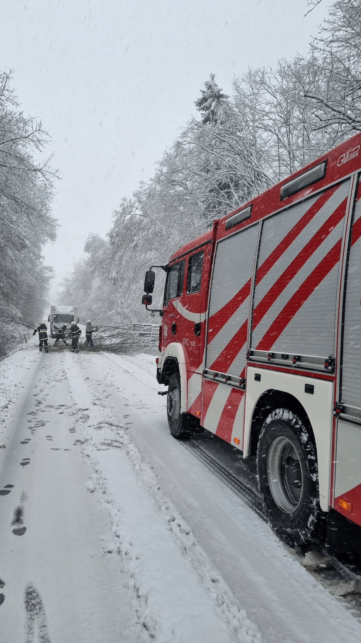 Zimska intervencija PGD Biš